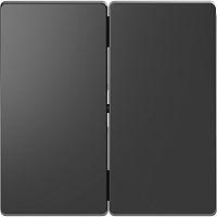 Лицевая панель Schneider Electric Merten D-Life для 2-кл. выключателя антрацит  картинка